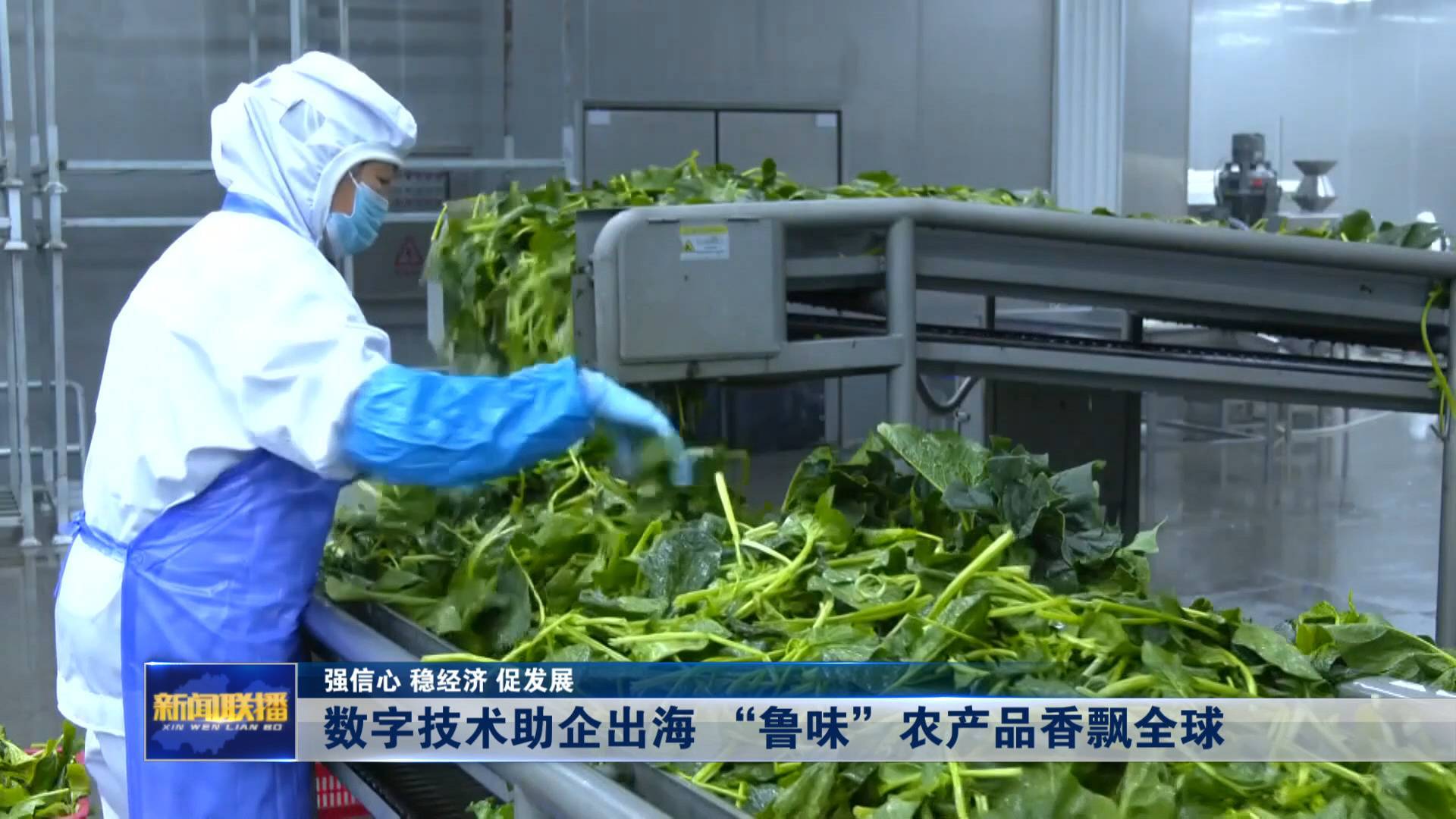 聯(lián)播關鍵詞｜“魯味”農(nóng)產(chǎn)品香飄全球