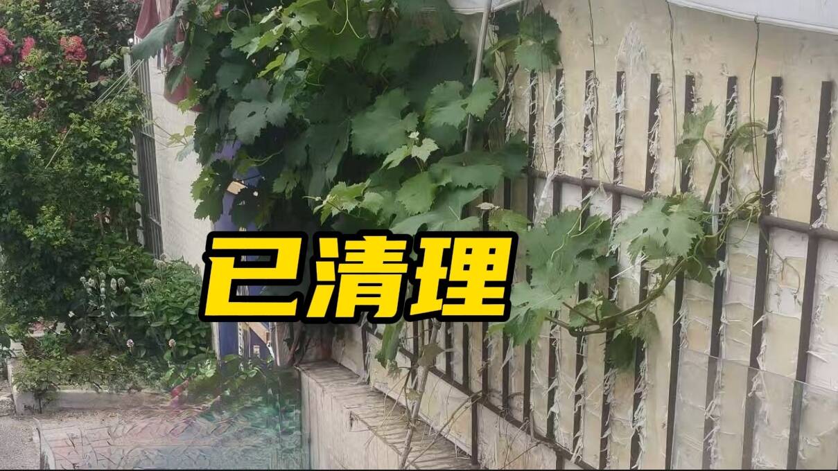 網(wǎng)絡(luò)問政·辦實(shí)事 | 網(wǎng)友：樓下成垃圾場(chǎng) 街道：已安排人員清理完畢