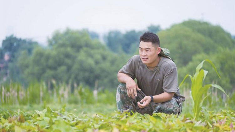 马踏湖荷花竞相绽放