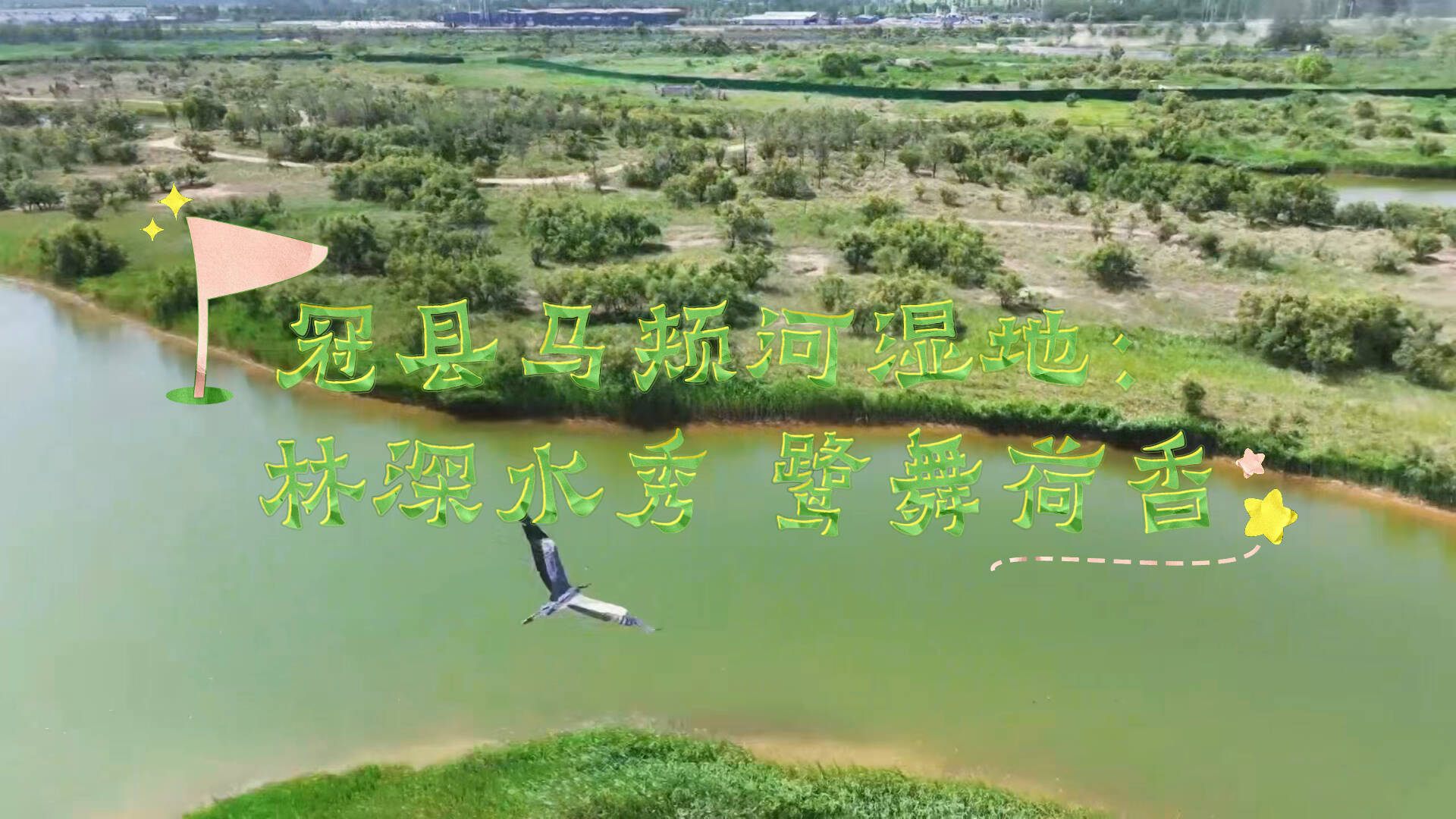 冠县马颊河湿地：林深水秀 鹭舞荷香