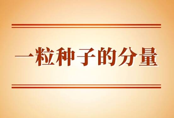 學習手記｜一粒種子的分量