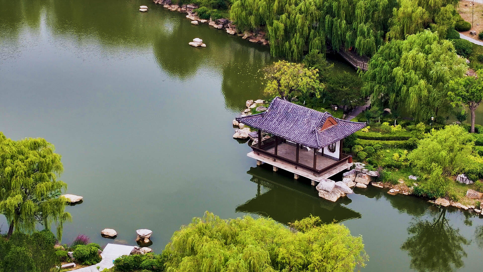 枣庄：一汪碧水映绿意 盛夏风光惹人醉