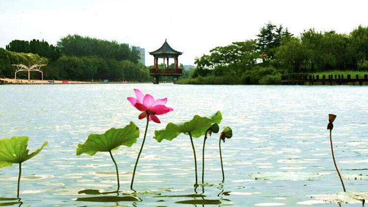 淄博:夏夜运动会 越夜越活力