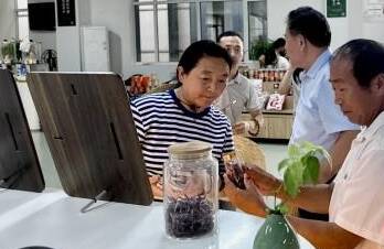 从“田间祸害”到“富民金芝”，开启一场科技蜕变——“金银花莪子”的逆袭之路