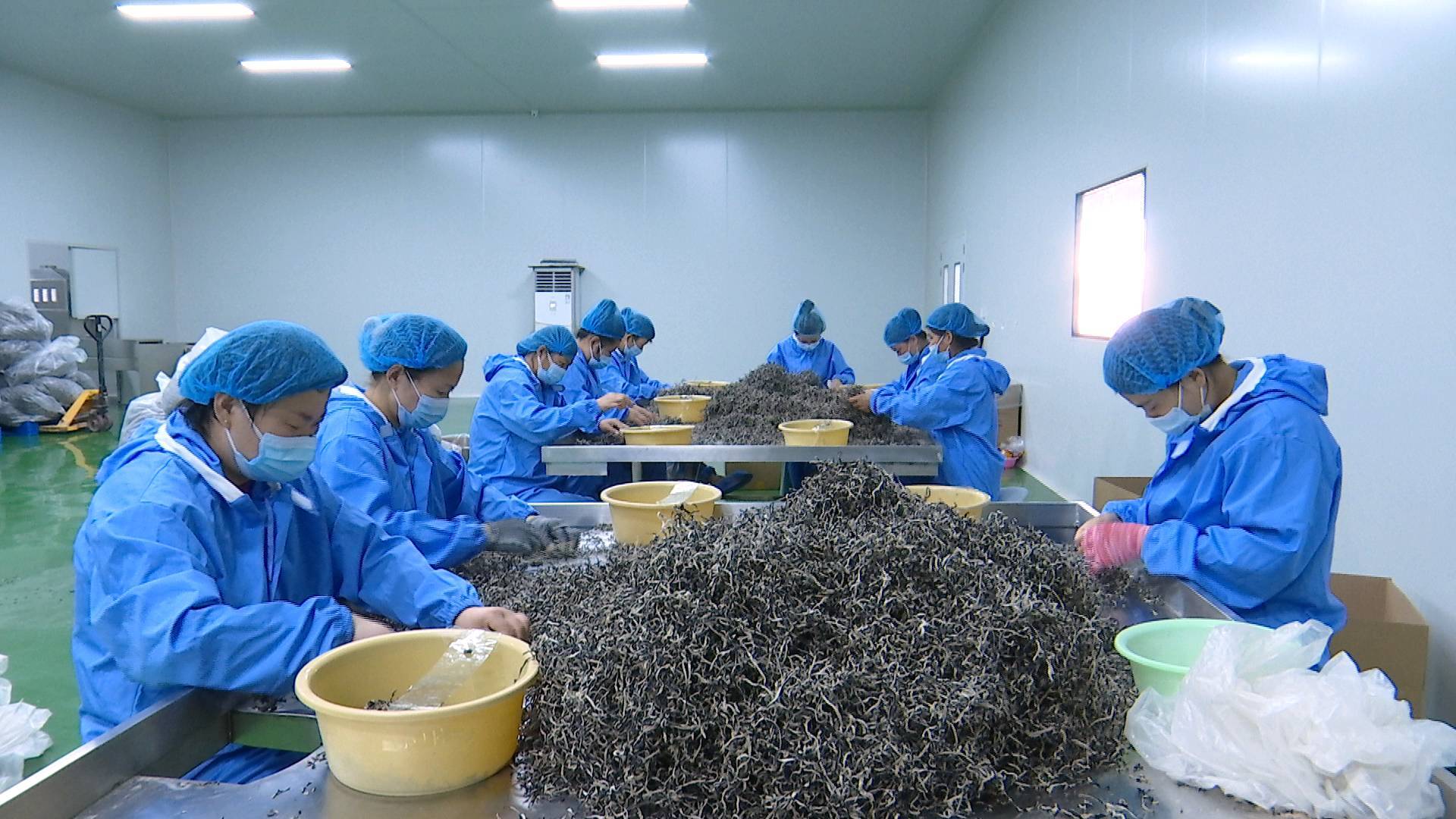 問政追蹤丨濟寧：力爭八月底前把毛木耳精深加工納入高質量發展行動方案