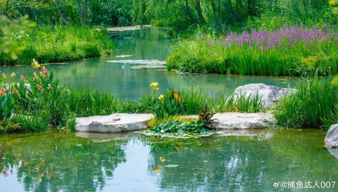 济南东边这一大型免费公园人气超高！打卡攻略请收好！