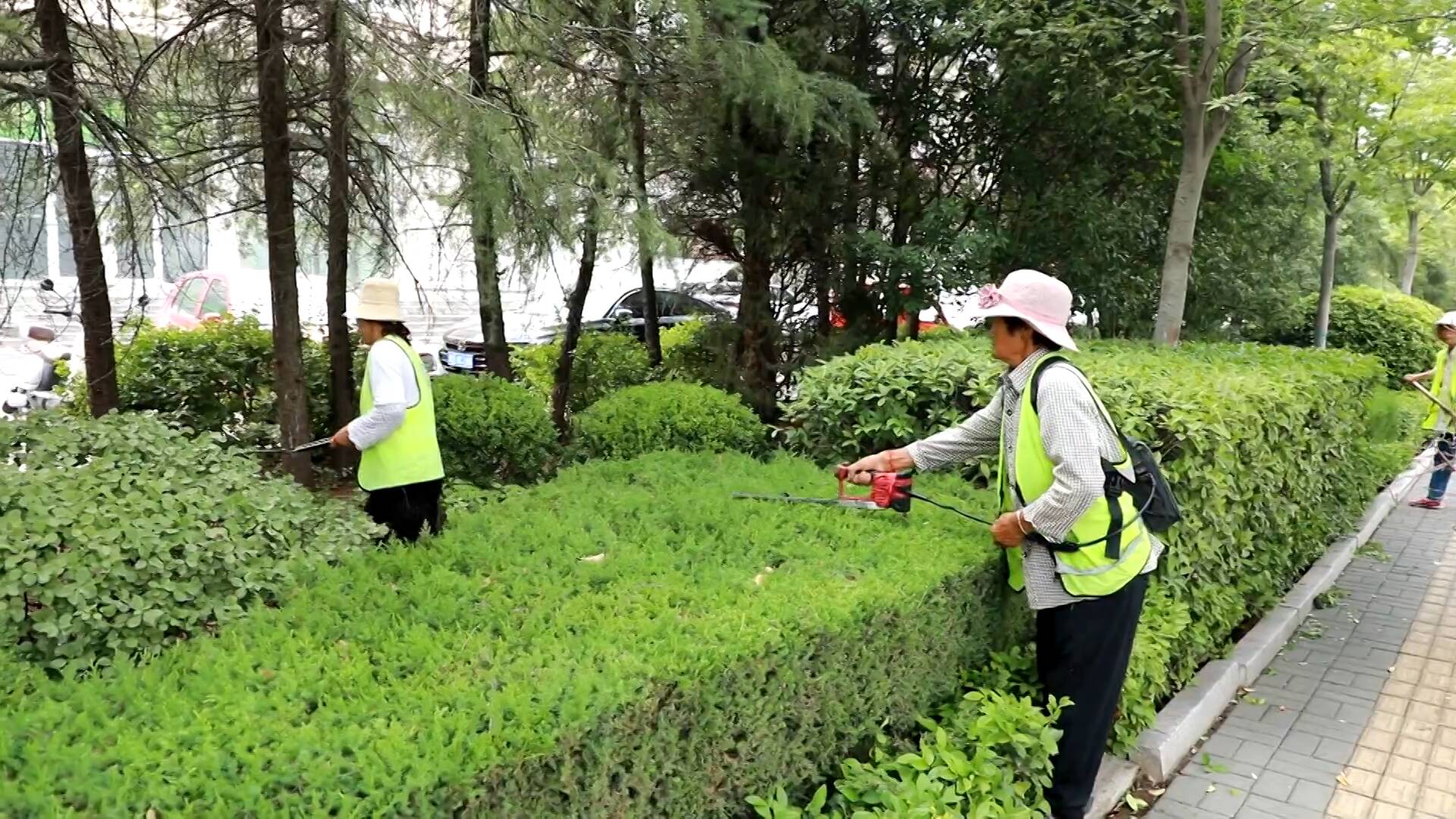 绿化养护服务