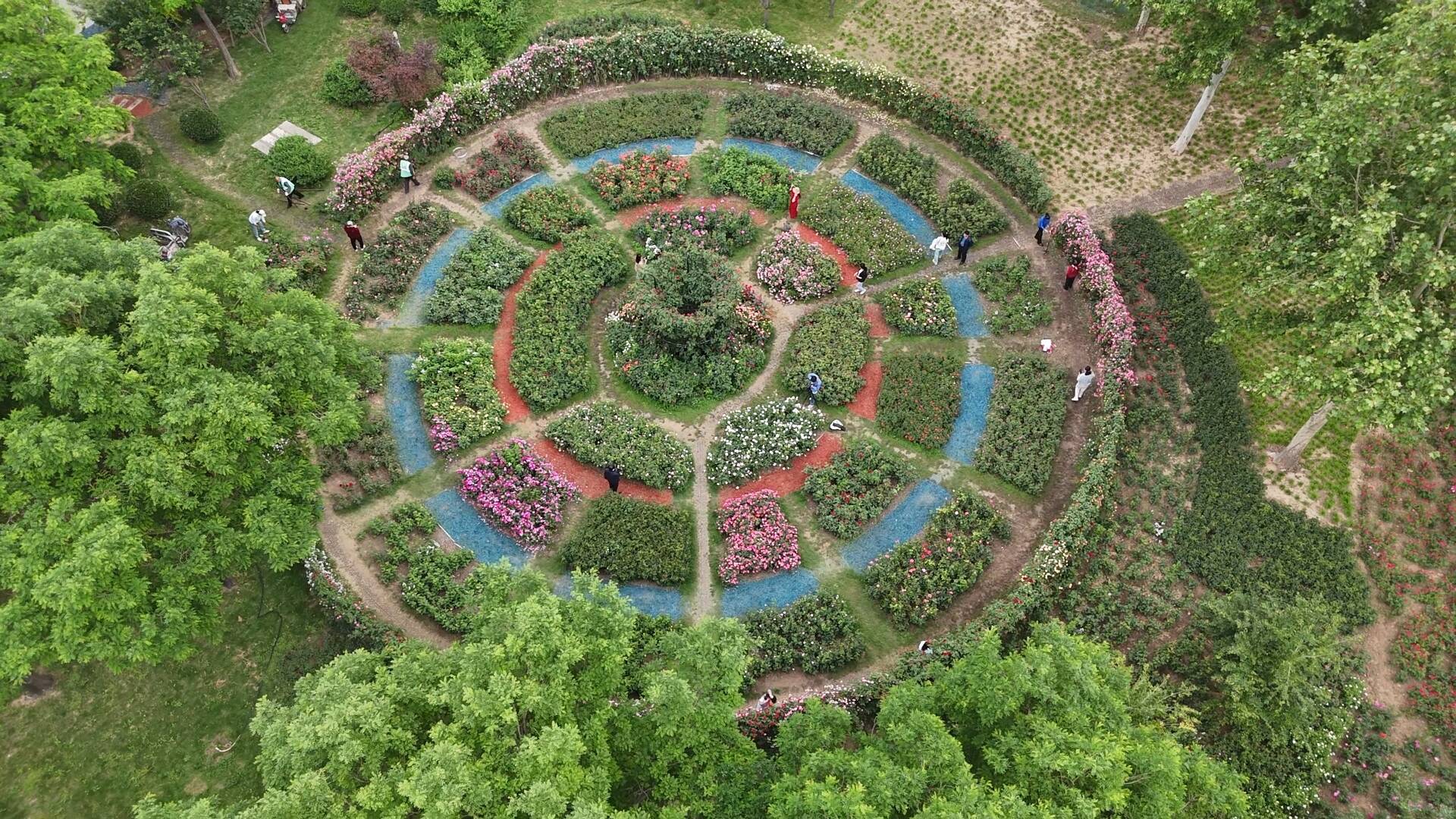 德州城市管理主题摄影大赛来啦 邀您一同记录城市之美