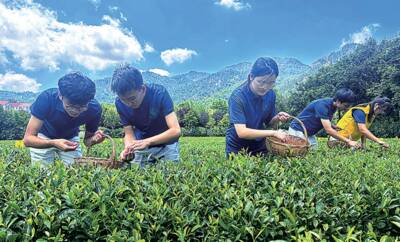 进企业、进乡村、进学校……驻青高校走进社会“大课堂”