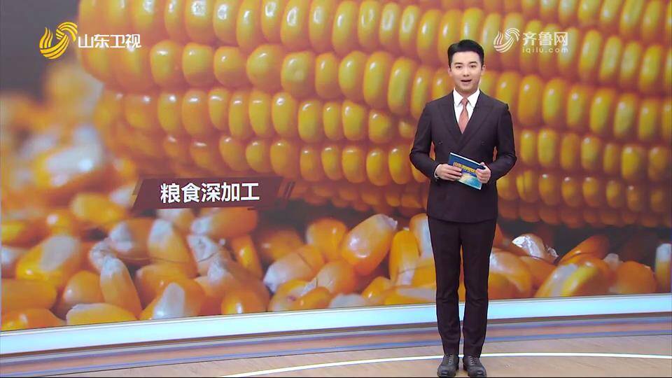 【山东新闻联播】德州：将一根玉米“吃干榨净” 变身100多种产品