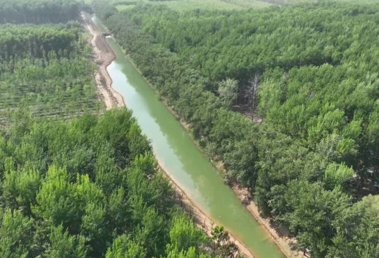 高唐县更新采伐护路林审批“四事合一”