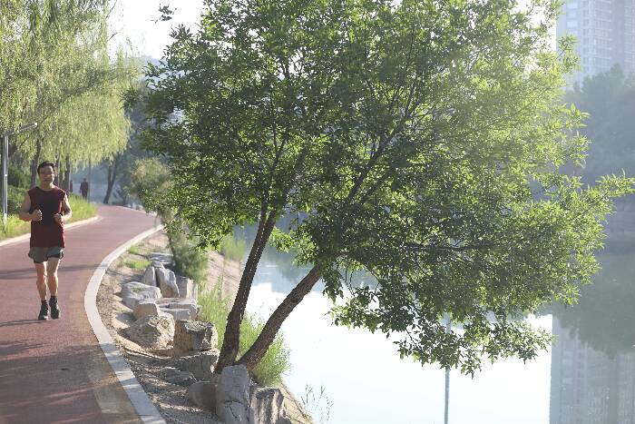 晨跑新立河：綠道串聯(lián)起市民的詩意生活