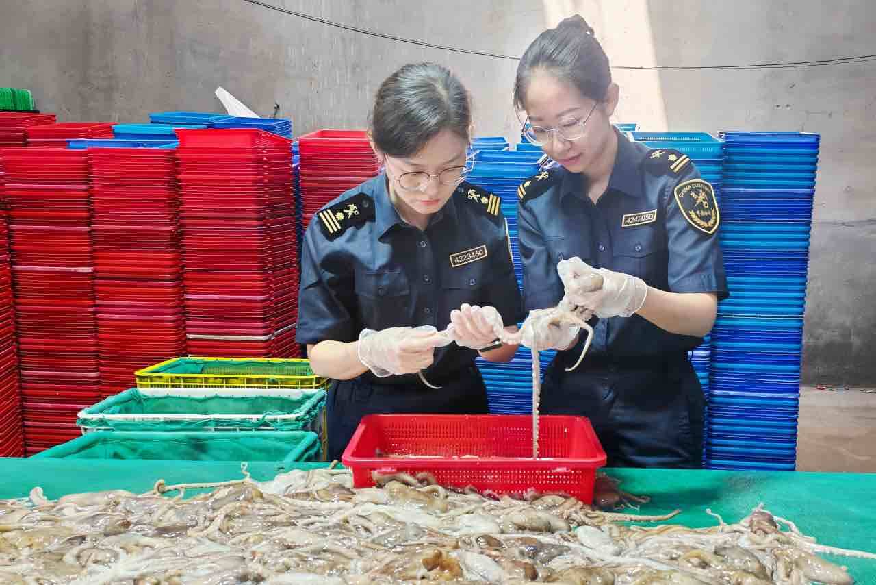 近500吨荣成活章鱼“跃”上海外餐桌