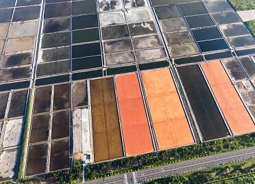 威海南海新区：古法盐田铺展多彩画卷