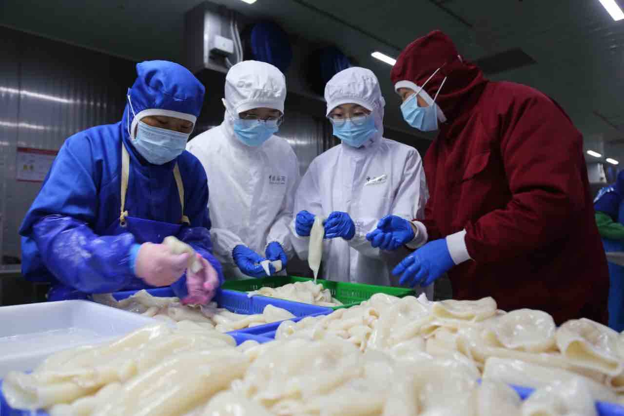 小小魷魚“鏈”通全球