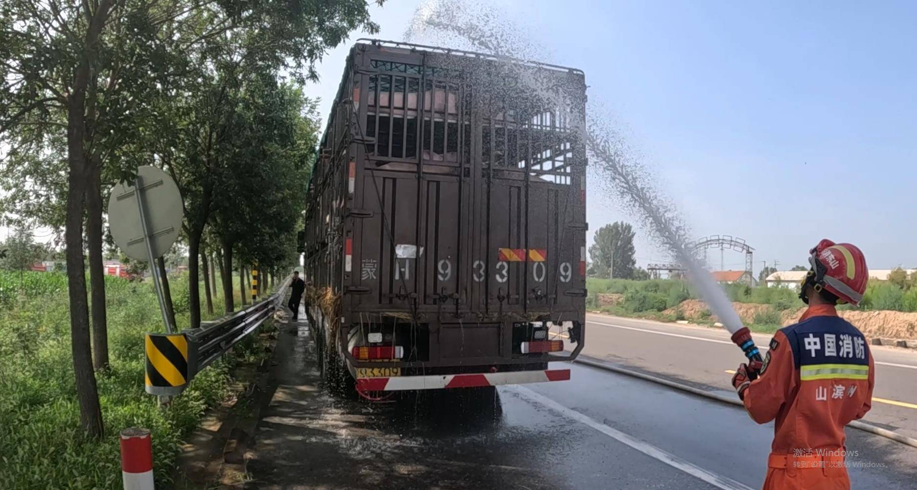 濱州：150頭生豬集體中暑 消防員緊急澆水降溫