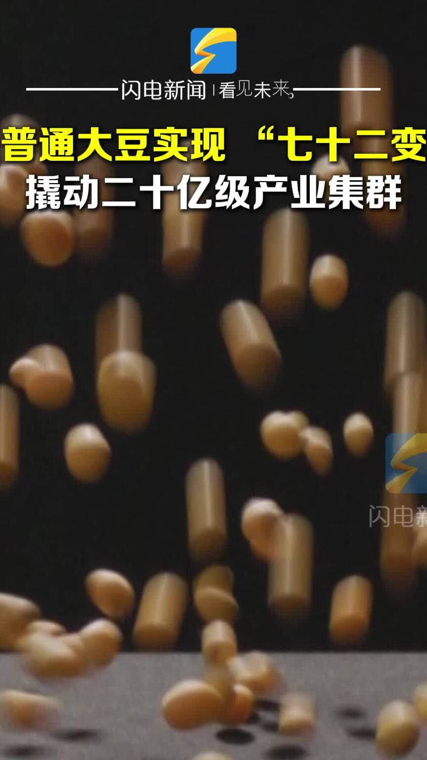 产业链上的山东好品牌｜禹王集团：深耕一粒豆 撬动二十多亿级大产业