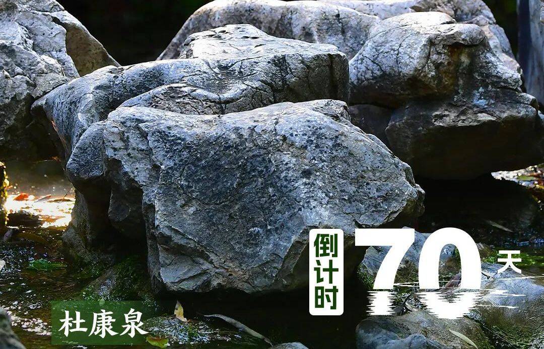 2025济南（泉城）马拉松，倒计时70天！