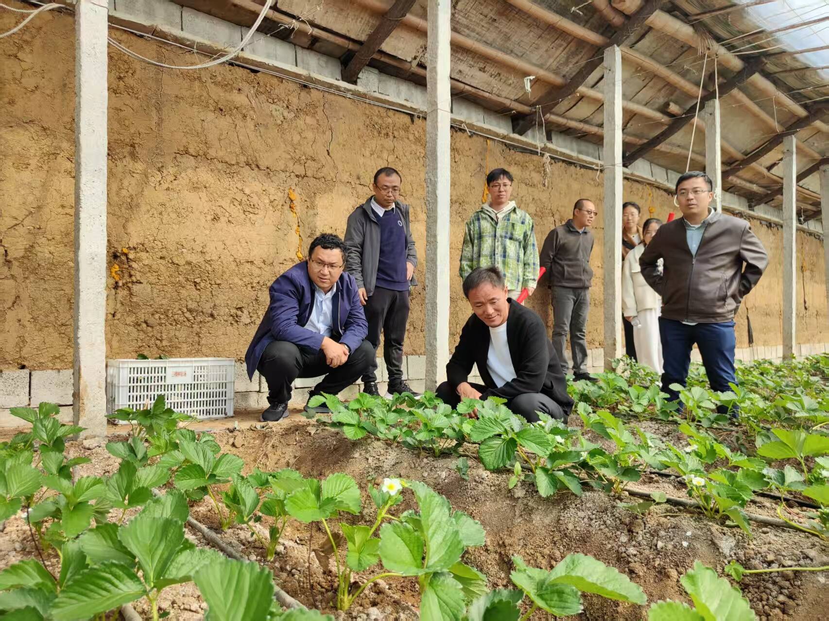 山东省人大代表赵森：“三棵树”信念坚守到“代表林”蝶变之路