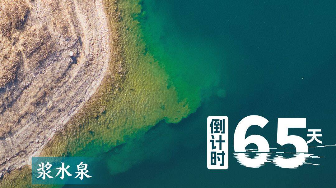 2025济南（泉城）马拉松，倒计时65天！
