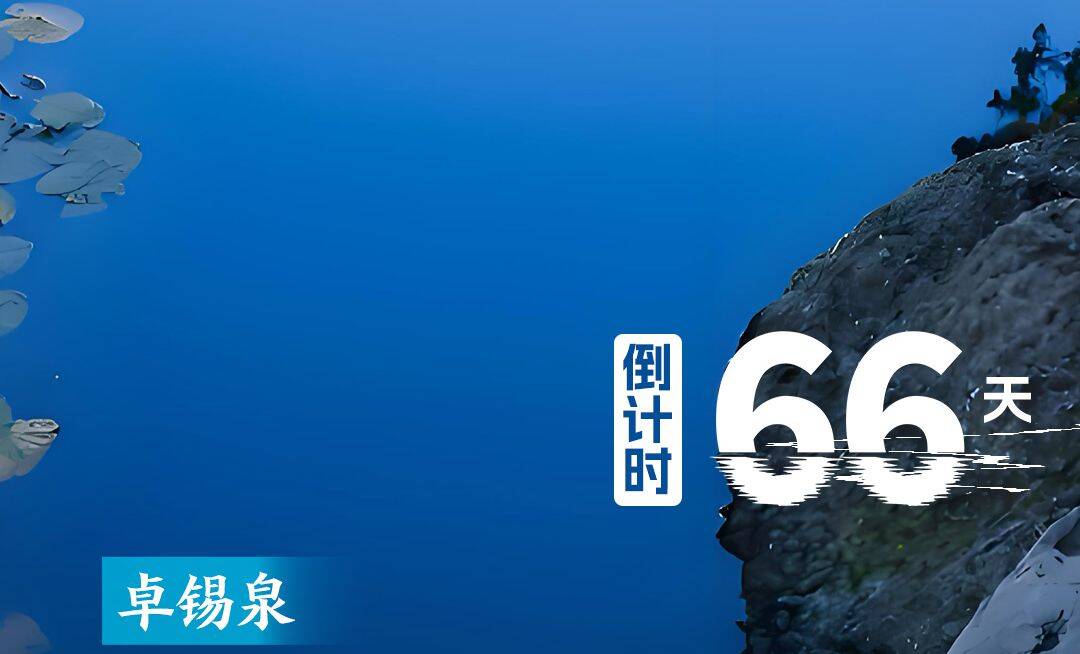 2025济南（泉城）马拉松，倒计时66天！