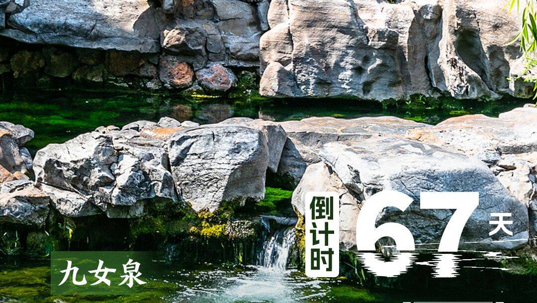 2025济南（泉城）马拉松，倒计时67天！