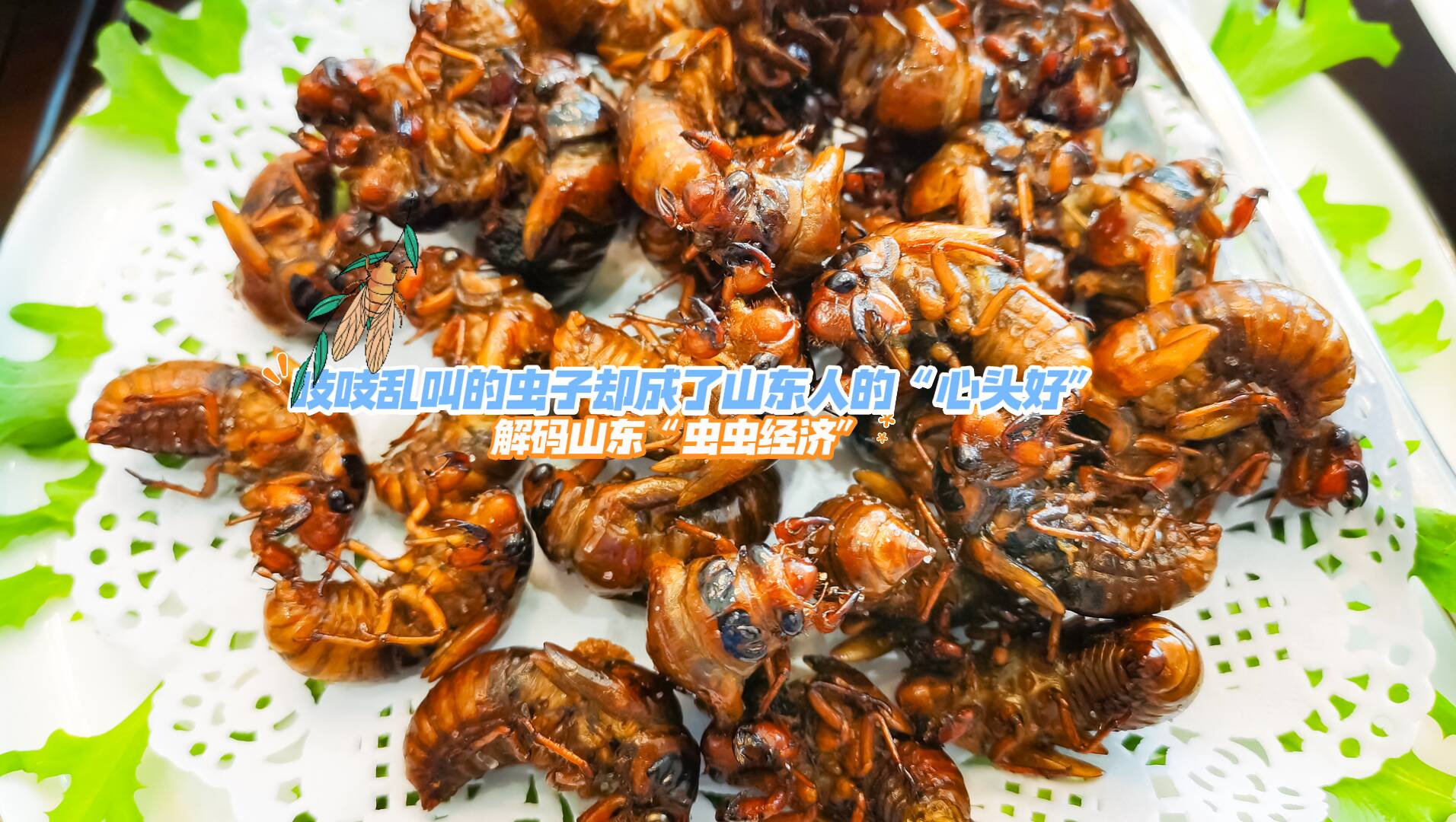 吱吱亂叫的蟲子卻成了山東人的“心頭好” 解碼山東“蟲蟲經濟”