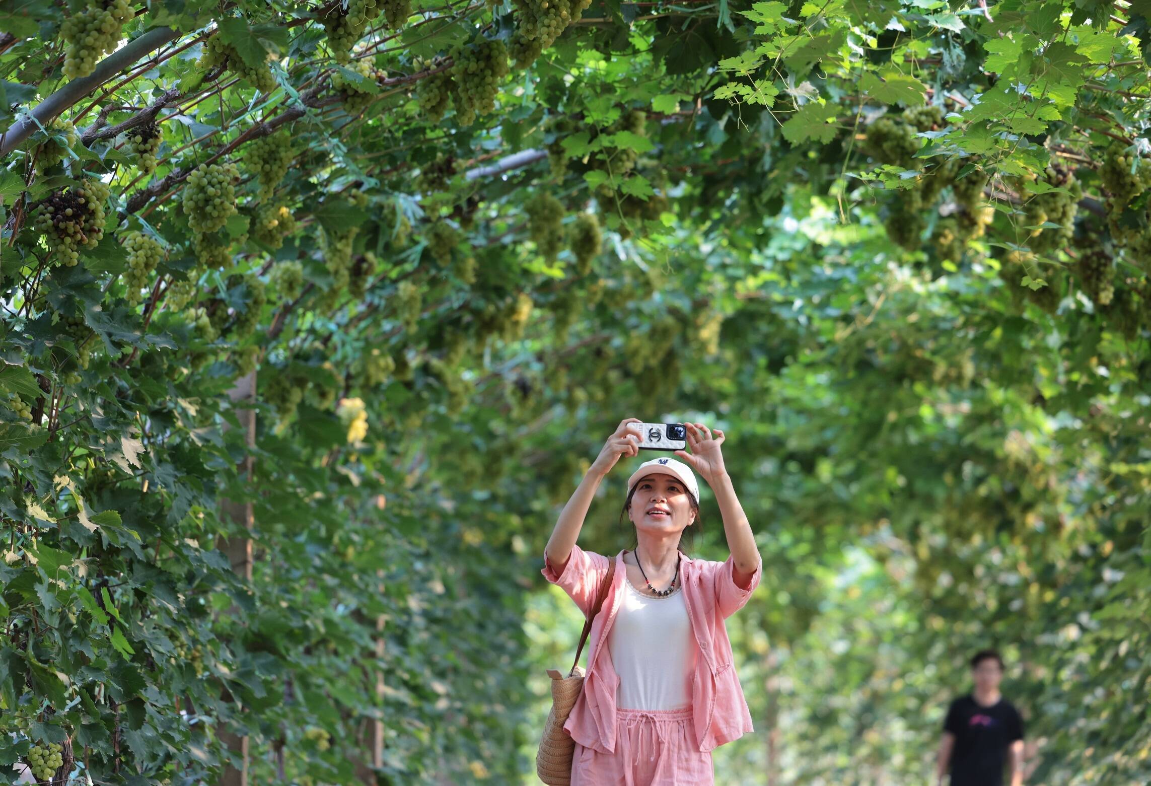 暑期乡村游“升温”