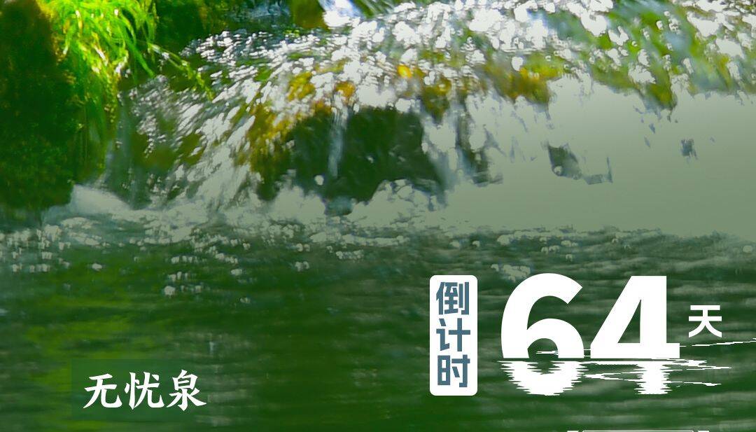 恒丰银行·2025济南（泉城）马拉松，倒计时64天！