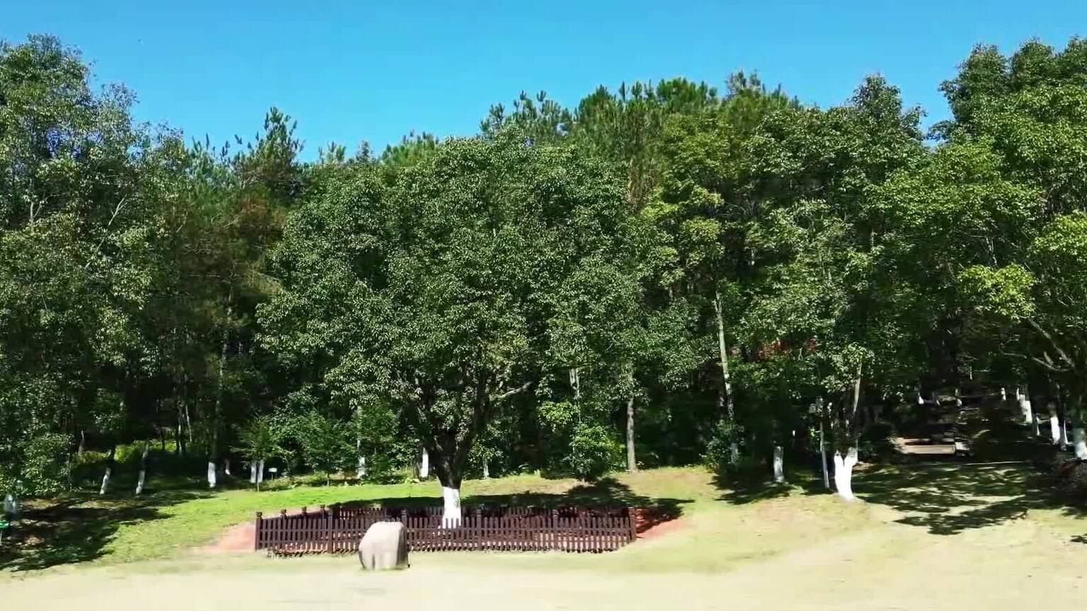 微視頻｜守望綠水青山