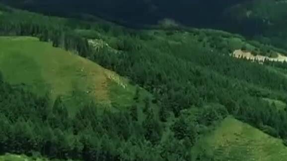 傳習錄丨綠水青山就是金山銀山