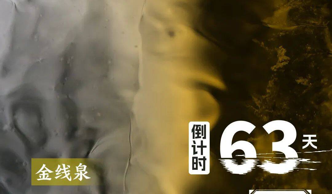 恒丰银行·2025济南（泉城）马拉松，倒计时63天！