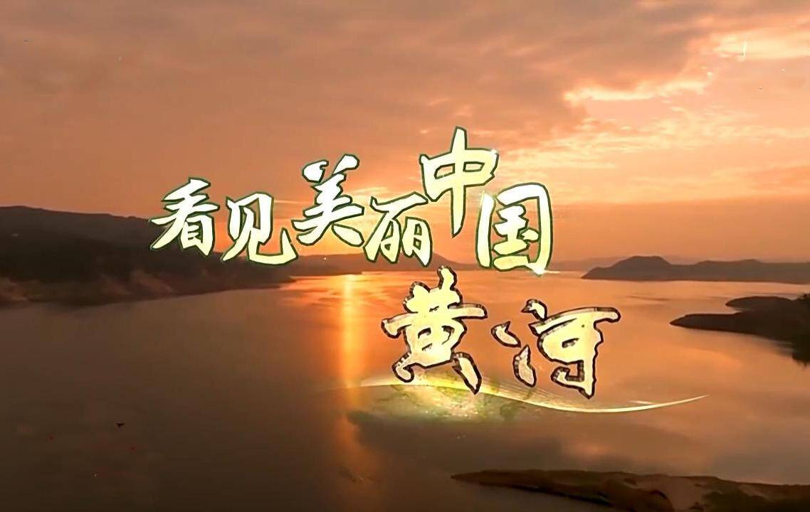 看見美麗中國丨把斷流之痛化作生態之美 母親河生態蛻變向“綠”而行