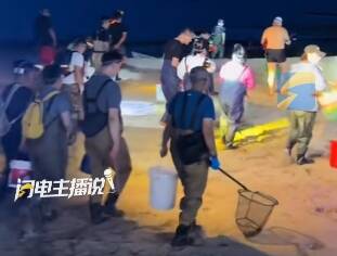 青岛赶海抓螃蟹一抓一个准