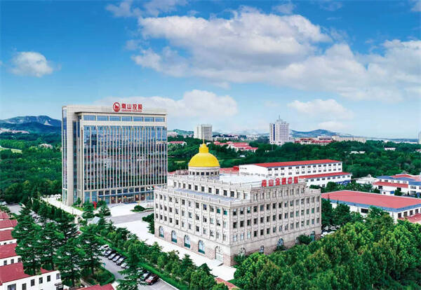 南山蟬聯(lián)山東民企百?gòu)?qiáng)榜