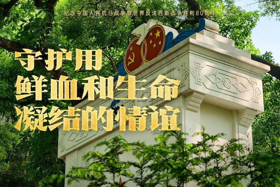 守護用鮮血和生命凝結的情誼