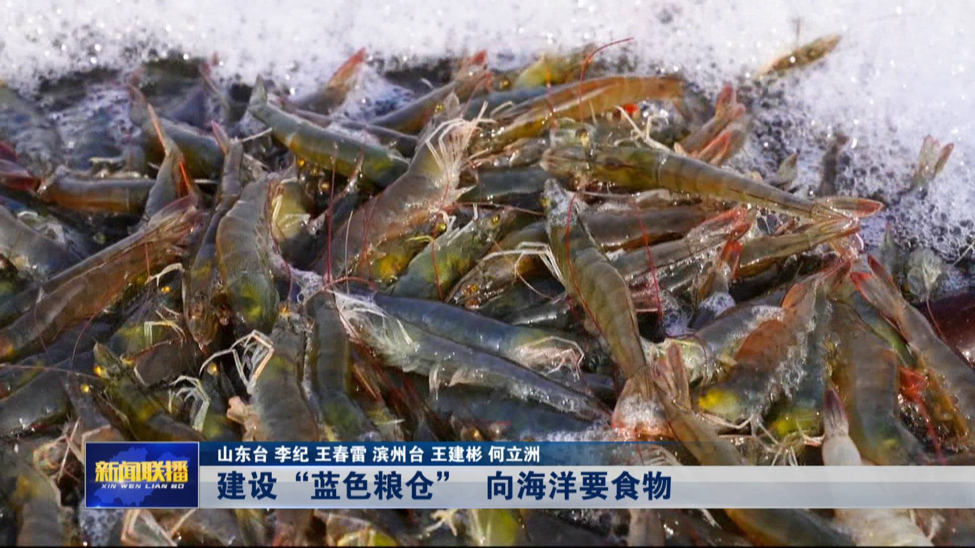 海上新山東｜建設“藍色糧倉” 向海洋要食物