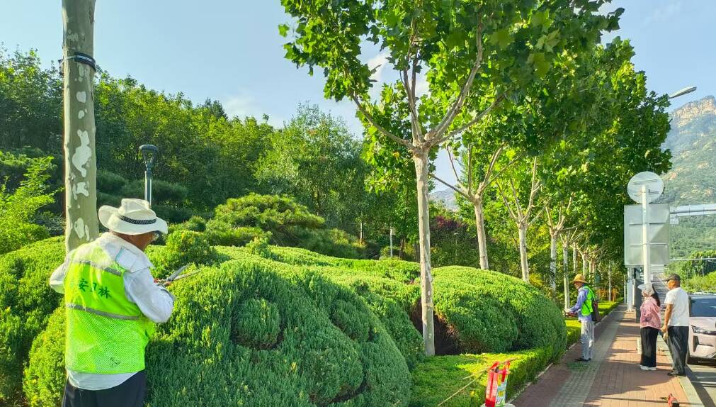 “熊猫、花篮、圆球”亮相！尽显泰安园林人巧思