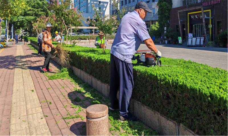 靓丽装扮迎盛会 芬芳景致待宾客