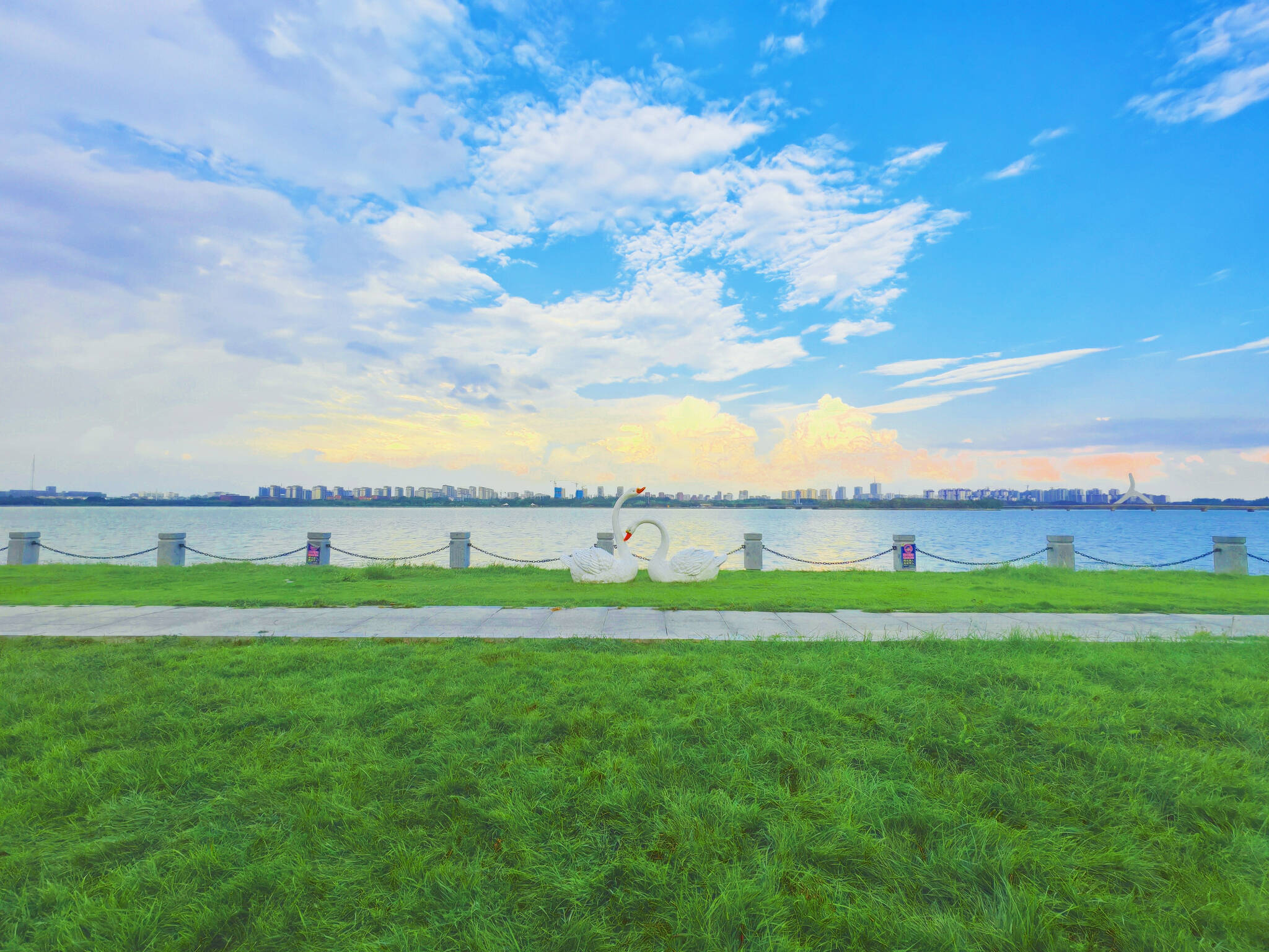 茌平金牛湖国家湿地公园秋季美好生态