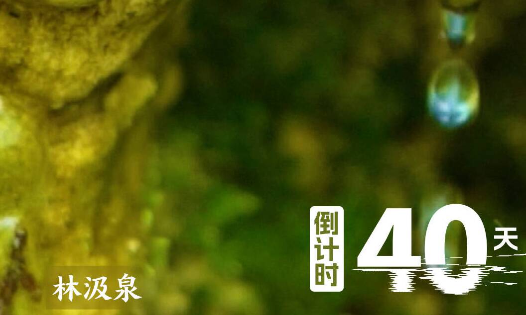 倒计时40天!恒丰银行·2025济南(泉城)马拉松邀你打卡林汲泉