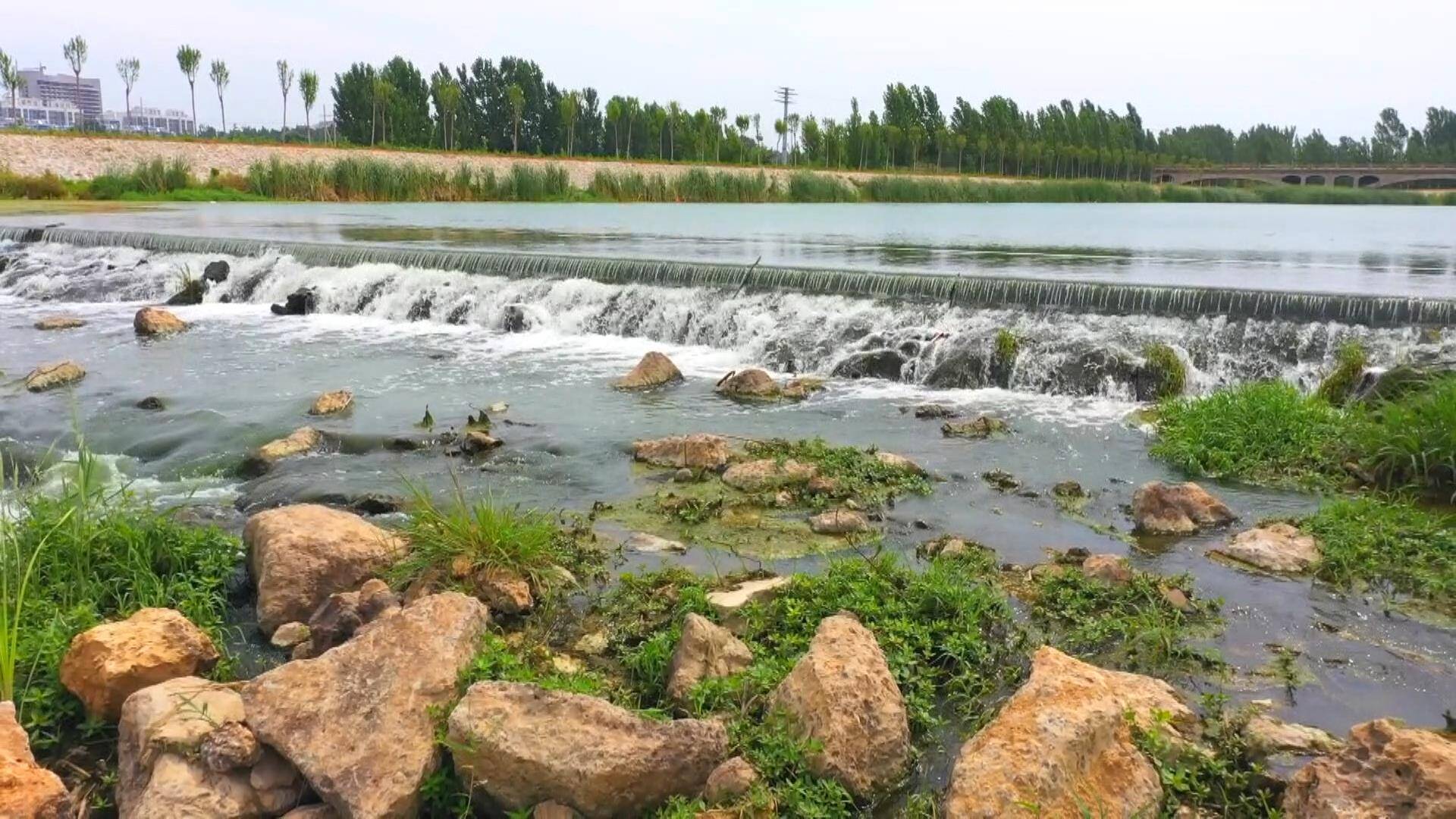 肥城黄河流域水土保持生态产品交易实现突破 年增50万元生态价值