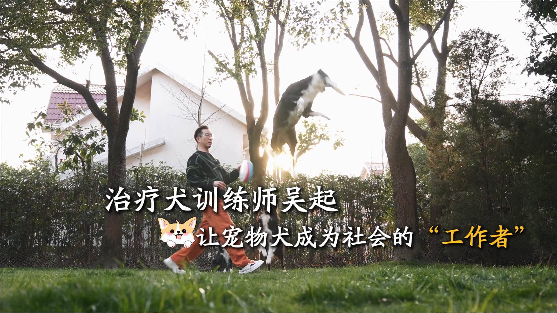 治療犬訓(xùn)練師吳起——讓寵物犬成為社會的“工作者”