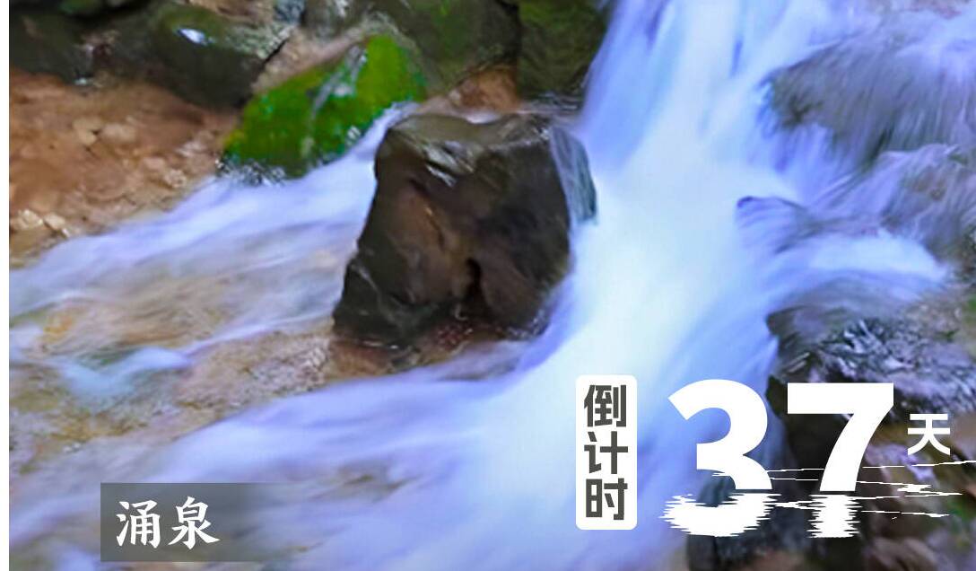 倒计时37天!恒丰银行·2025济南(泉城)马拉松邀你打卡涌泉