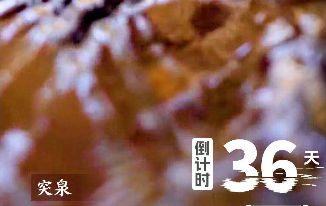 倒计时36天!恒丰银行·2025济南(泉城)马拉松邀你打卡突泉