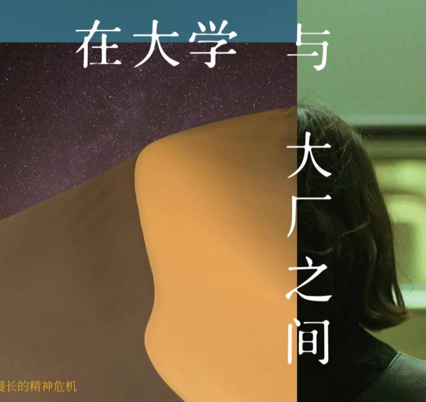 【新書薦讀】《在大學(xué)與大廠之間》——走向第三條路