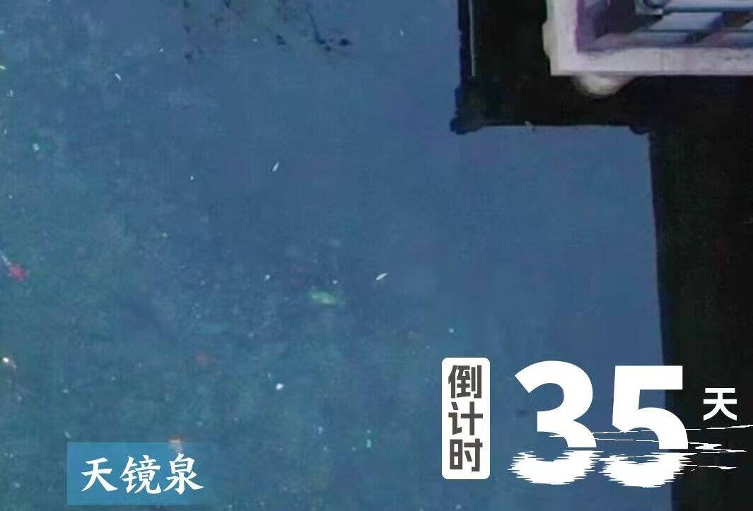 倒计时35天!恒丰银行·2025济南(泉城)马拉松邀你打卡天镜泉