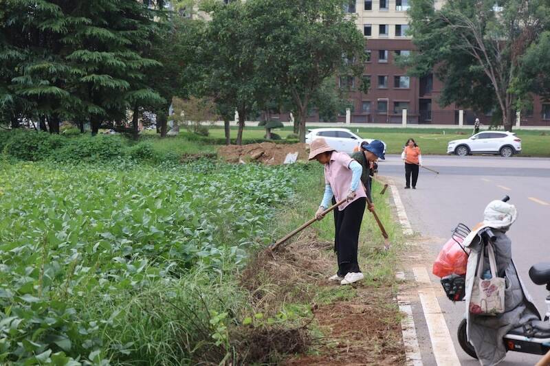 济宁曲阜：息陬镇息陬镇整治人居环境绘就乡村新画卷