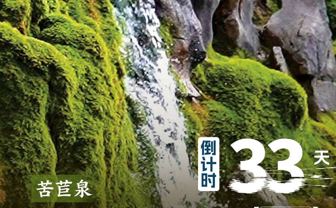 倒计时33天!恒丰银行·2025济南(泉城)马拉松邀你打卡苦苣泉