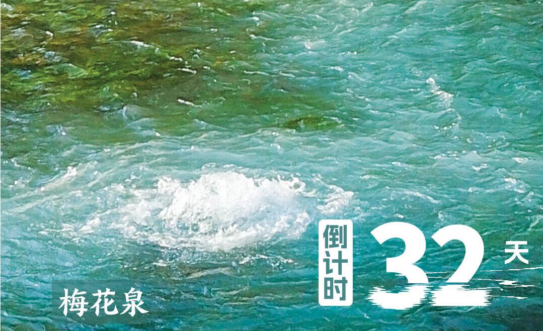 倒计时32天!恒丰银行·2025济南(泉城)马拉松邀你打卡梅花泉